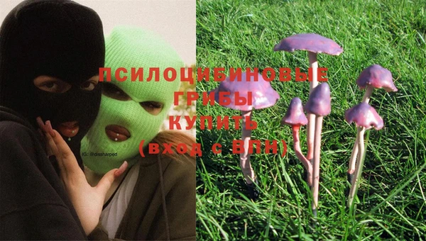 круглые Арсеньев